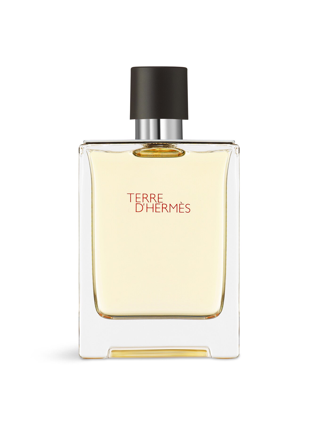 Terre d'Hermès Eau de Toilette 100ml