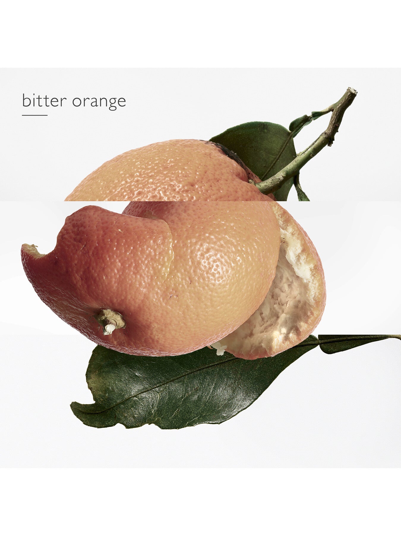 Eau des Merveilles Eau de Toilette 100ml