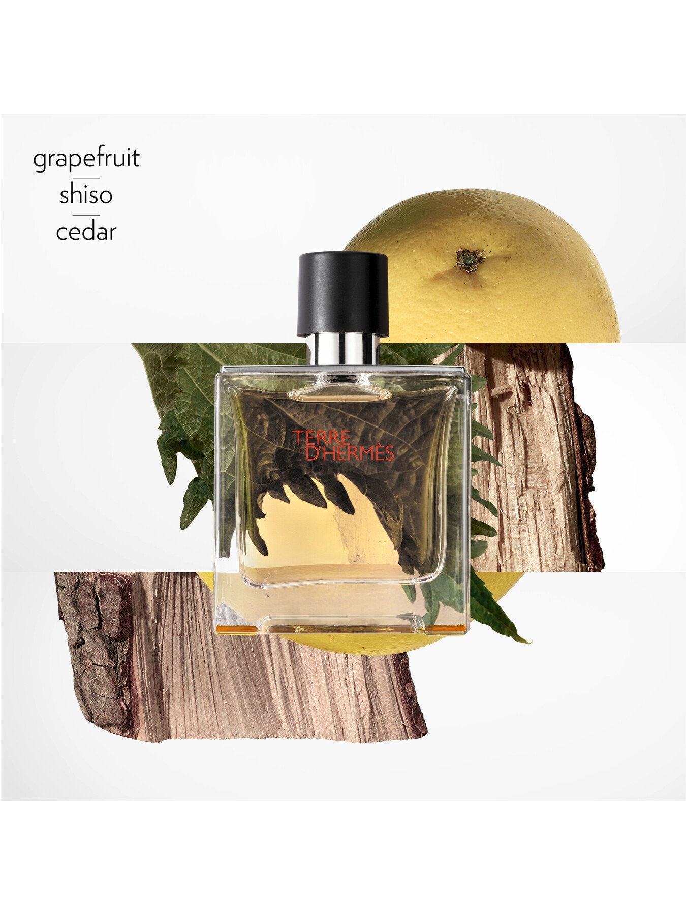 Terre d'Hermès Pure Perfume 75ml – Fenwick