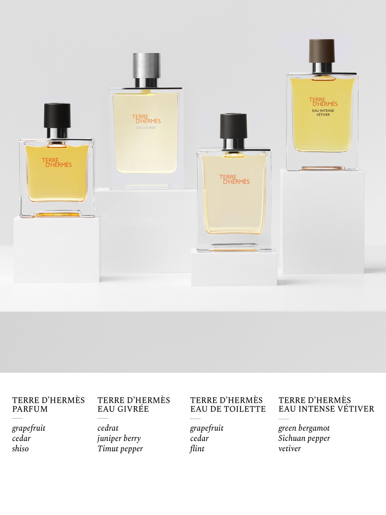 Terre d'Hermès Eau Intense Vétiver Eau de Parfum 50ml