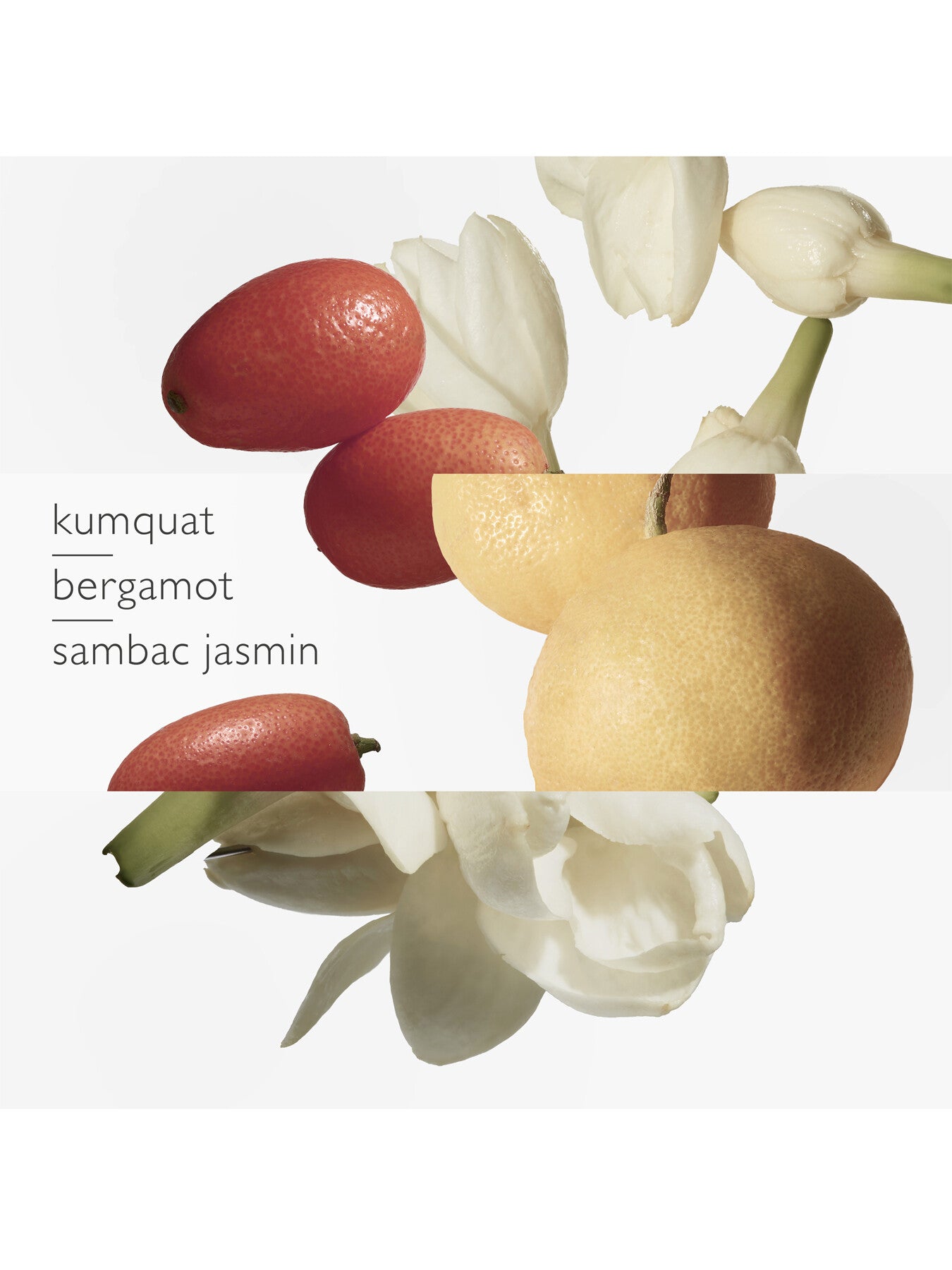 Le Jardin de Monsieur Li Eau de Toilette 100ml