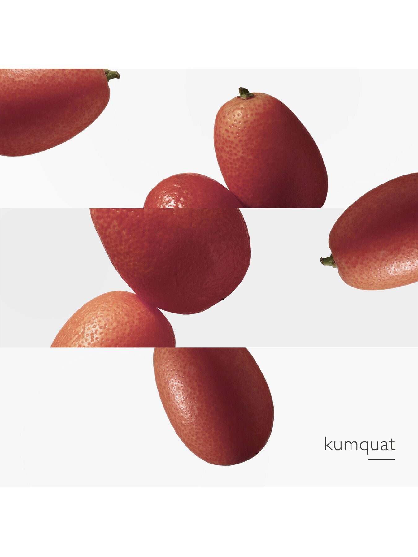 Le Jardin de Monsieur Li Eau de Toilette 100ml