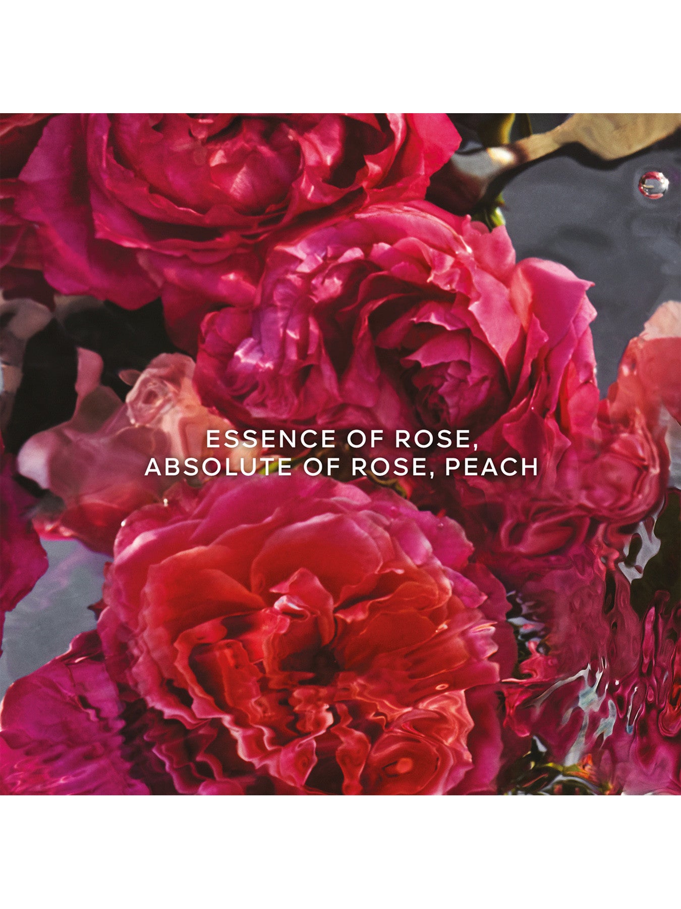Aqua Allegoria Forte Rosa Rossa Eau de Parfum 200ml