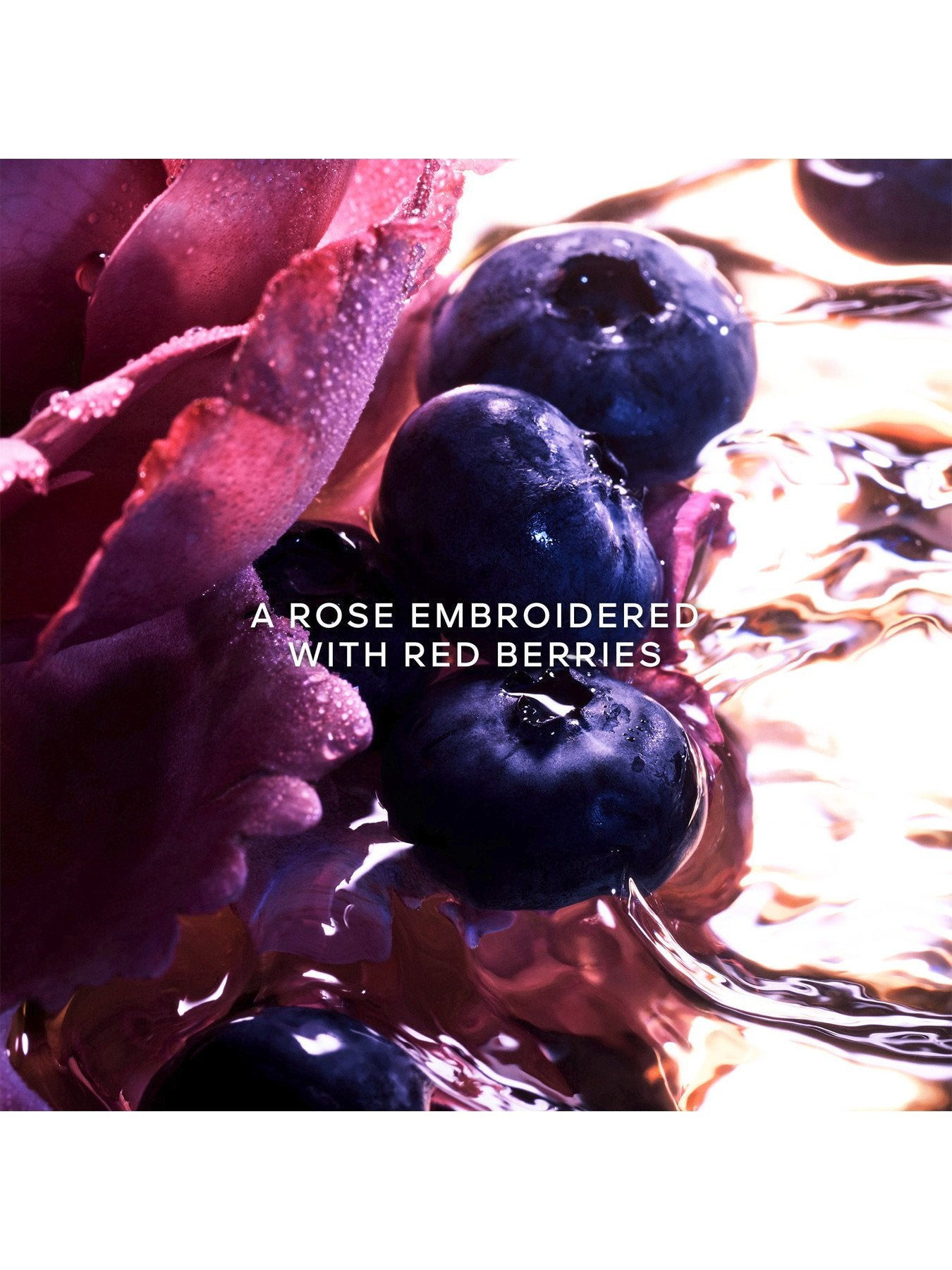 La Petite Robe Noire Eau de Parfum Intense 100ml