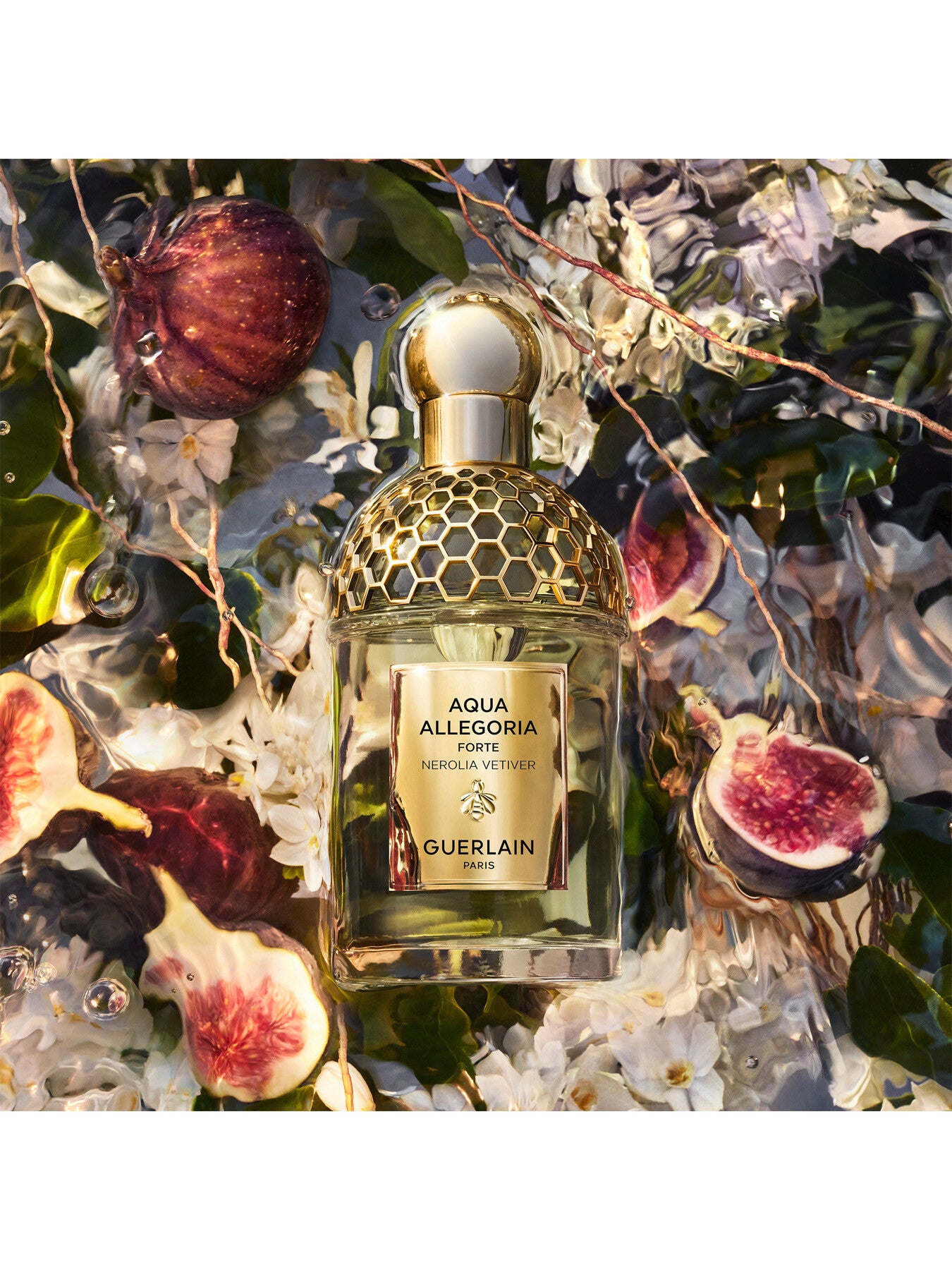 Aqua Allegoria Forte Nerolia Vetiver Eau de Parfum 75ml