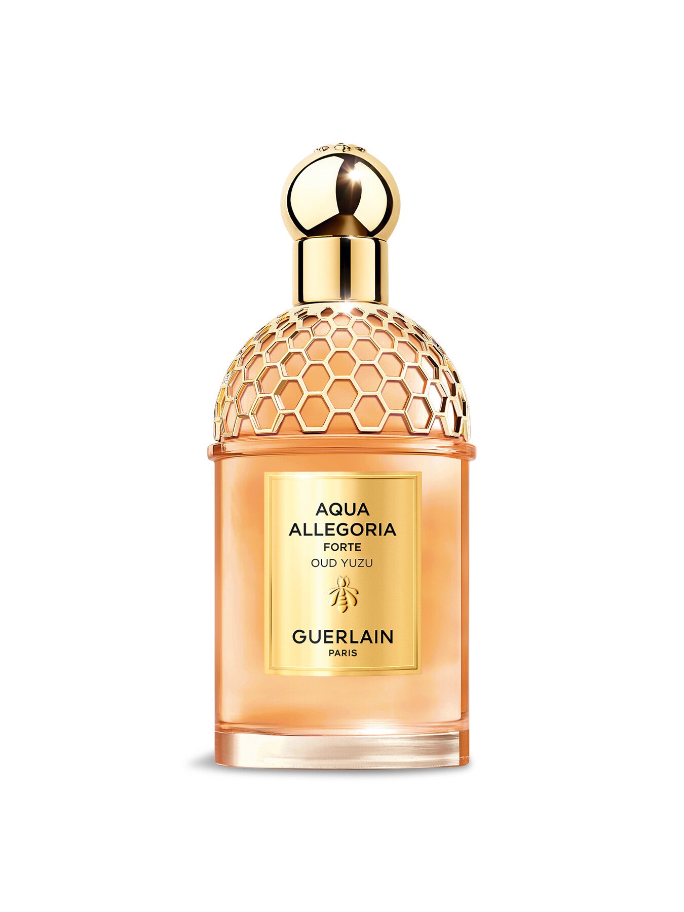 Aqua Allegoria Oud Yuzu Eau de Parfum 125ml