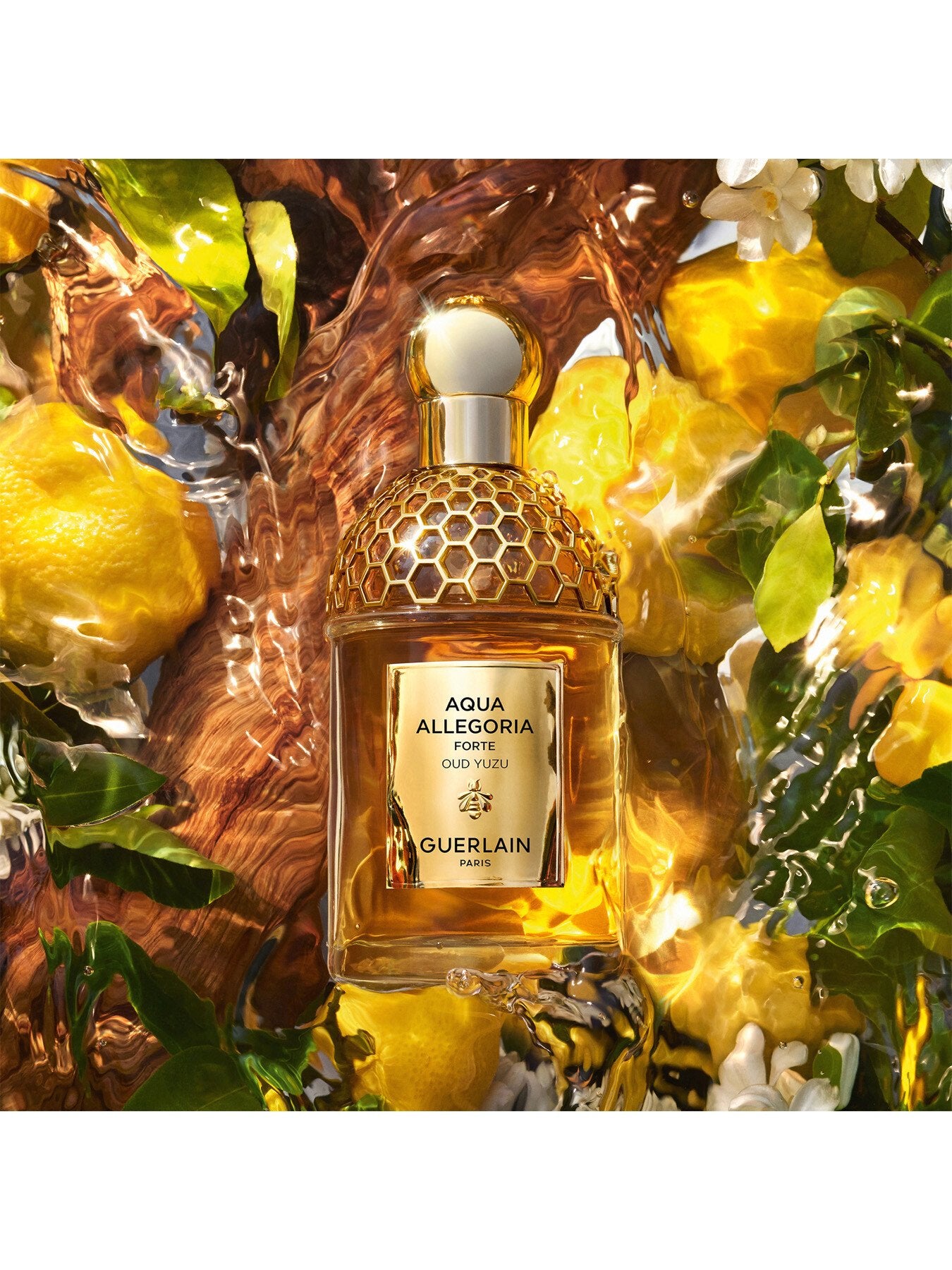 Aqua Allegoria Oud Yuzu Eau de Parfum 125ml
