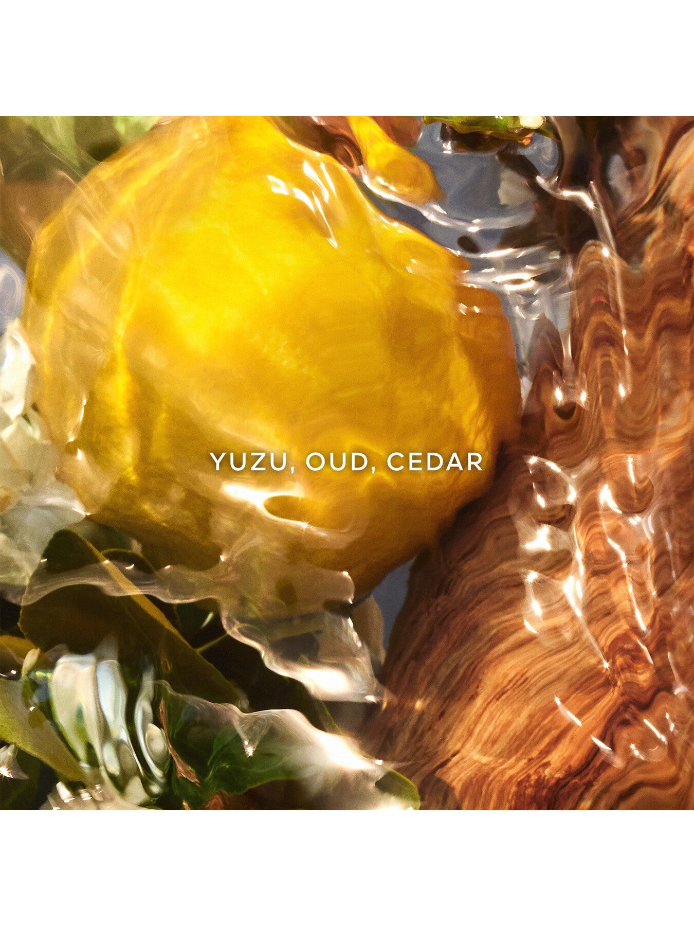 Aqua Allegoria Oud Yuzu Eau de Parfum 75ml