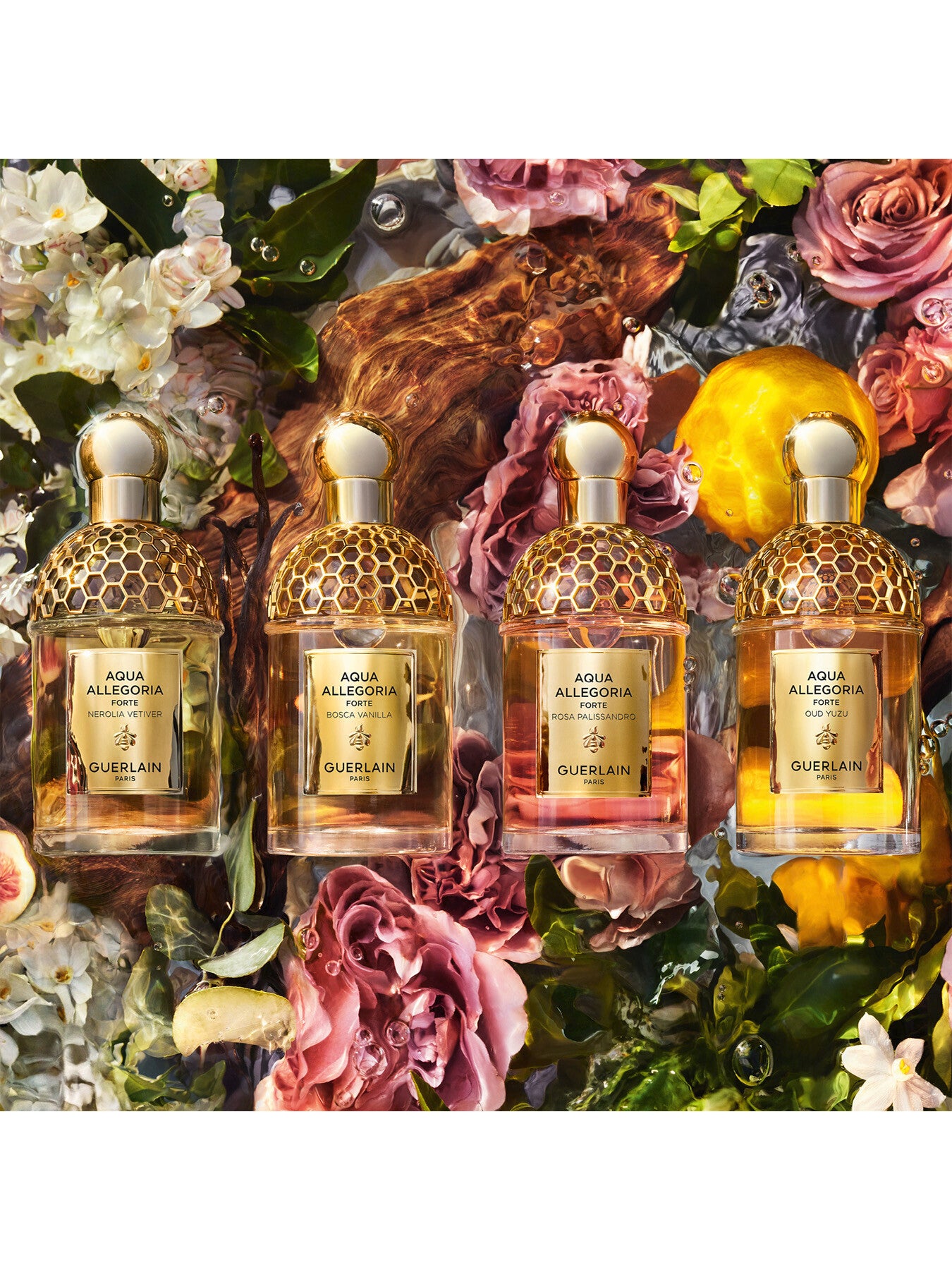 Aqua Allegoria Oud Yuzu Eau de Parfum 75ml