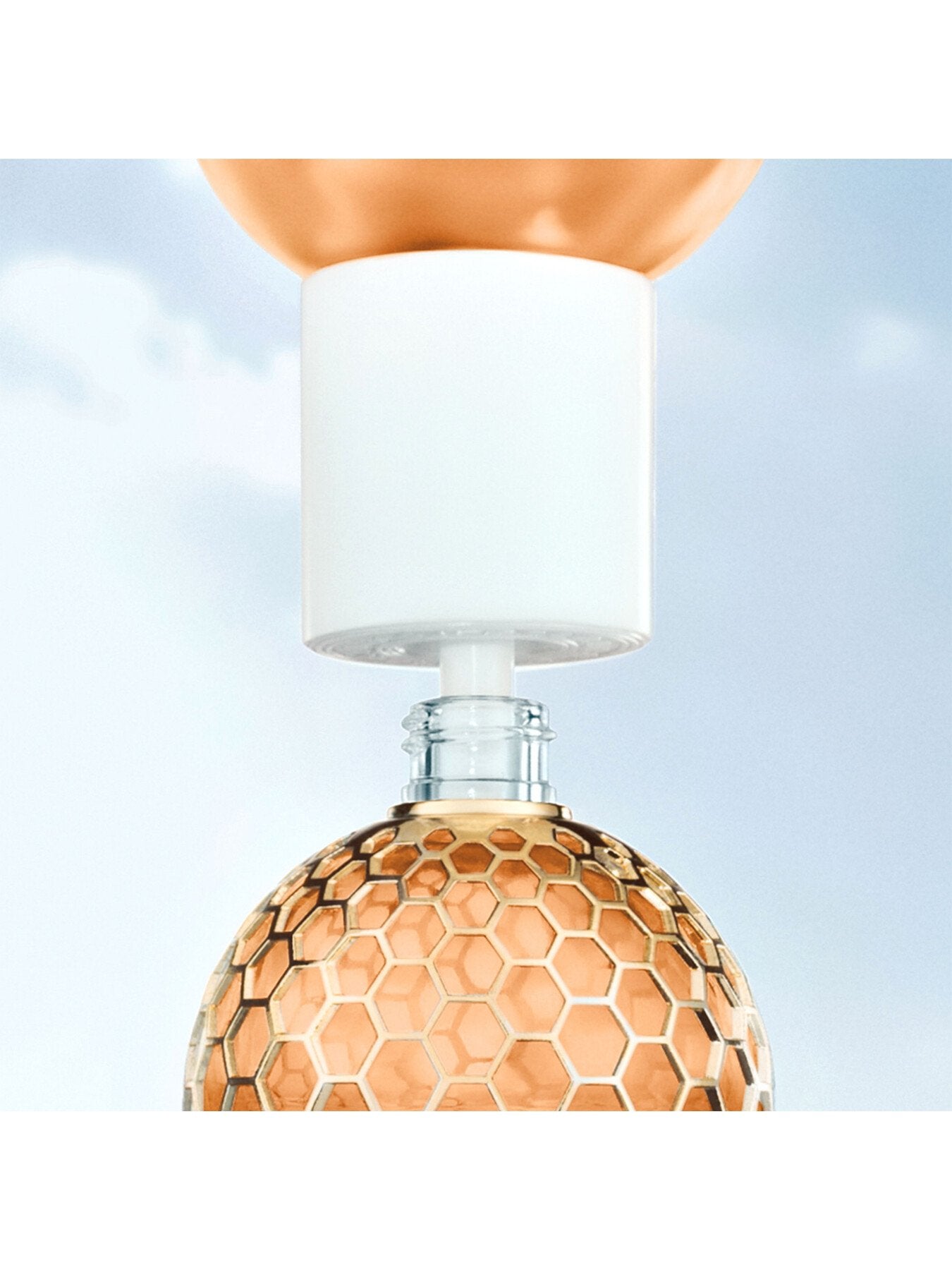 Aqua Allegoria Rosa Palissandro Eau de Parfum 200ml