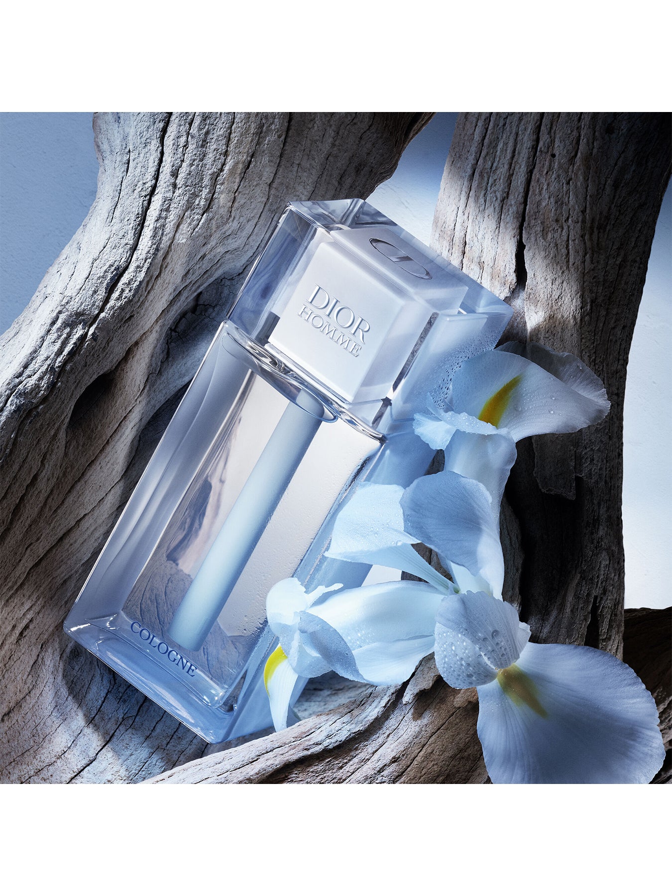 Dior Homme Cologne 75ml