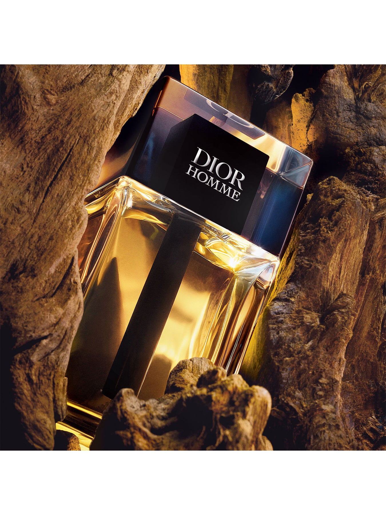 Dior Homme Eau de Toilette 50ml