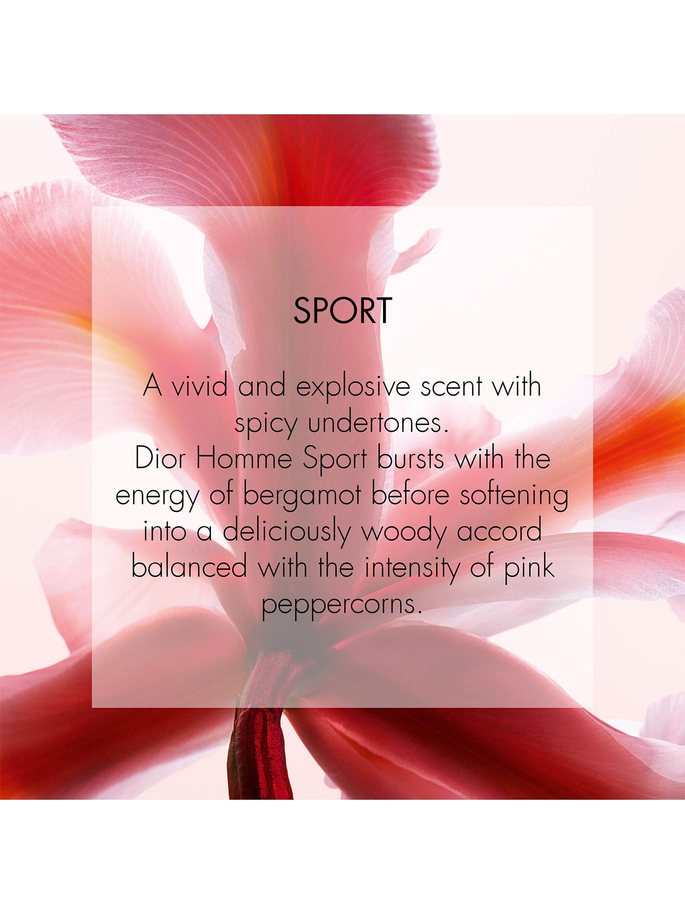 Dior Homme Sport Eau de Toilette 125ml