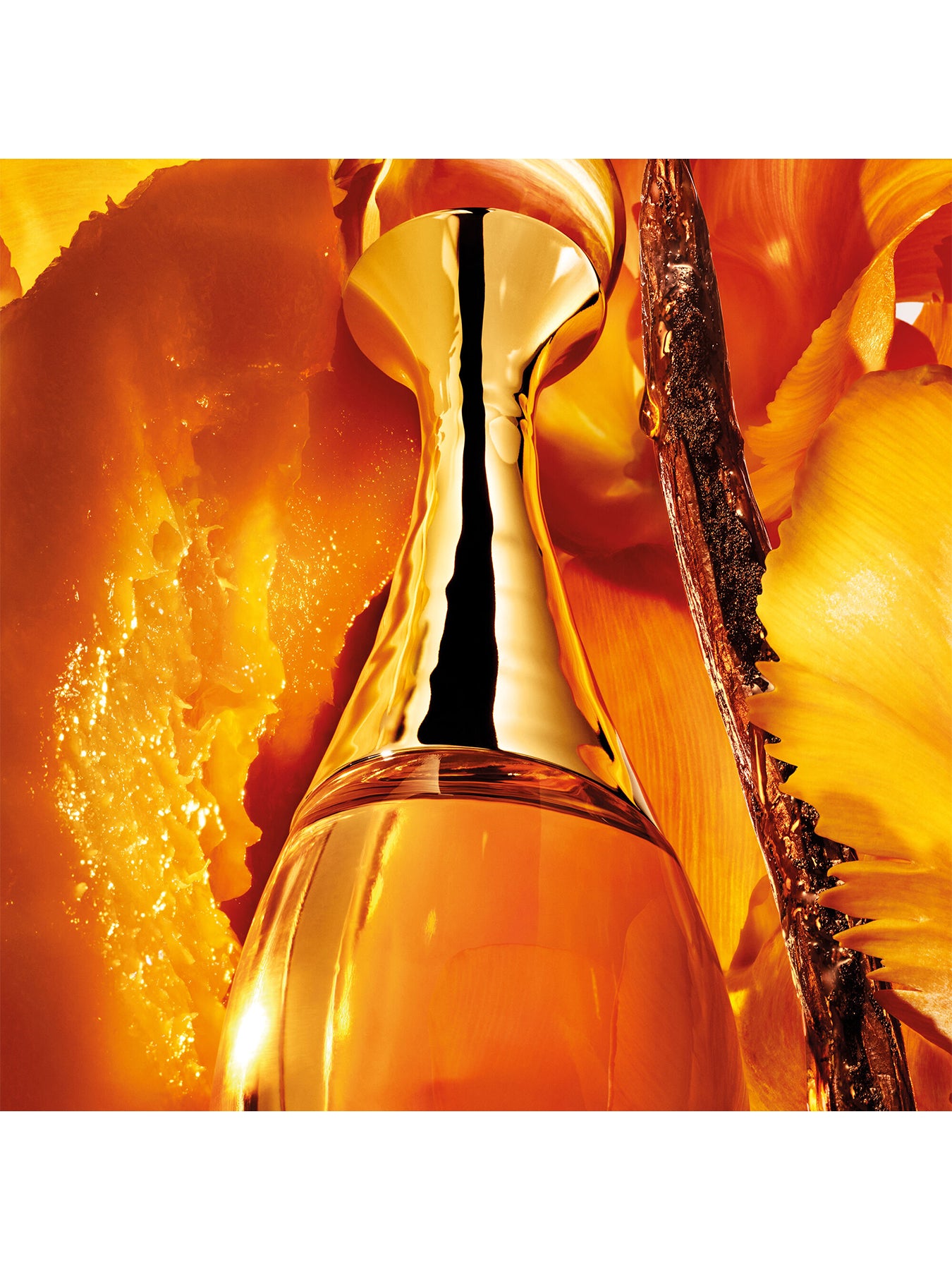 Jadore Lor Essence De Parfum 50ml