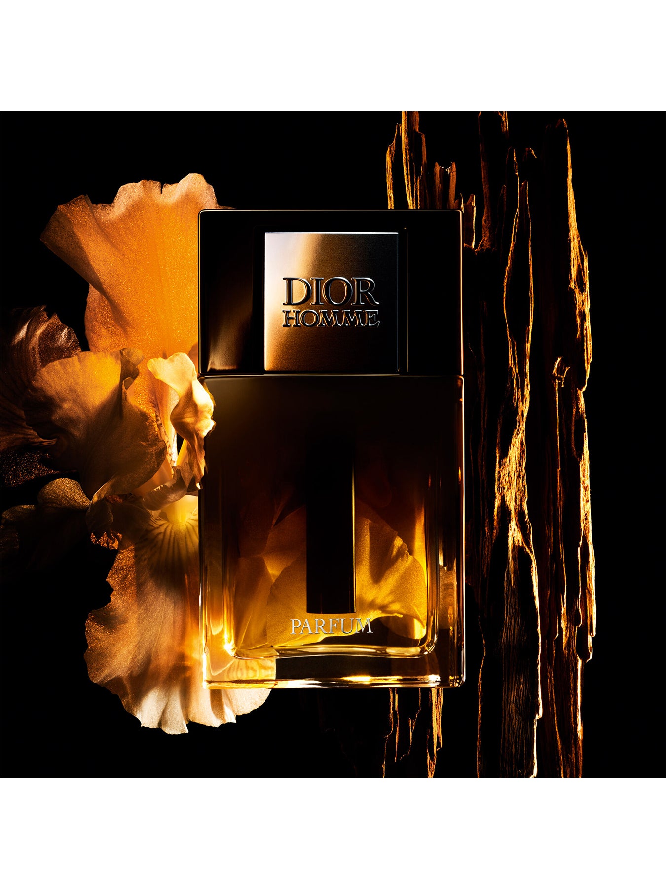 Dior Homme Parfum 50ml – Fenwick