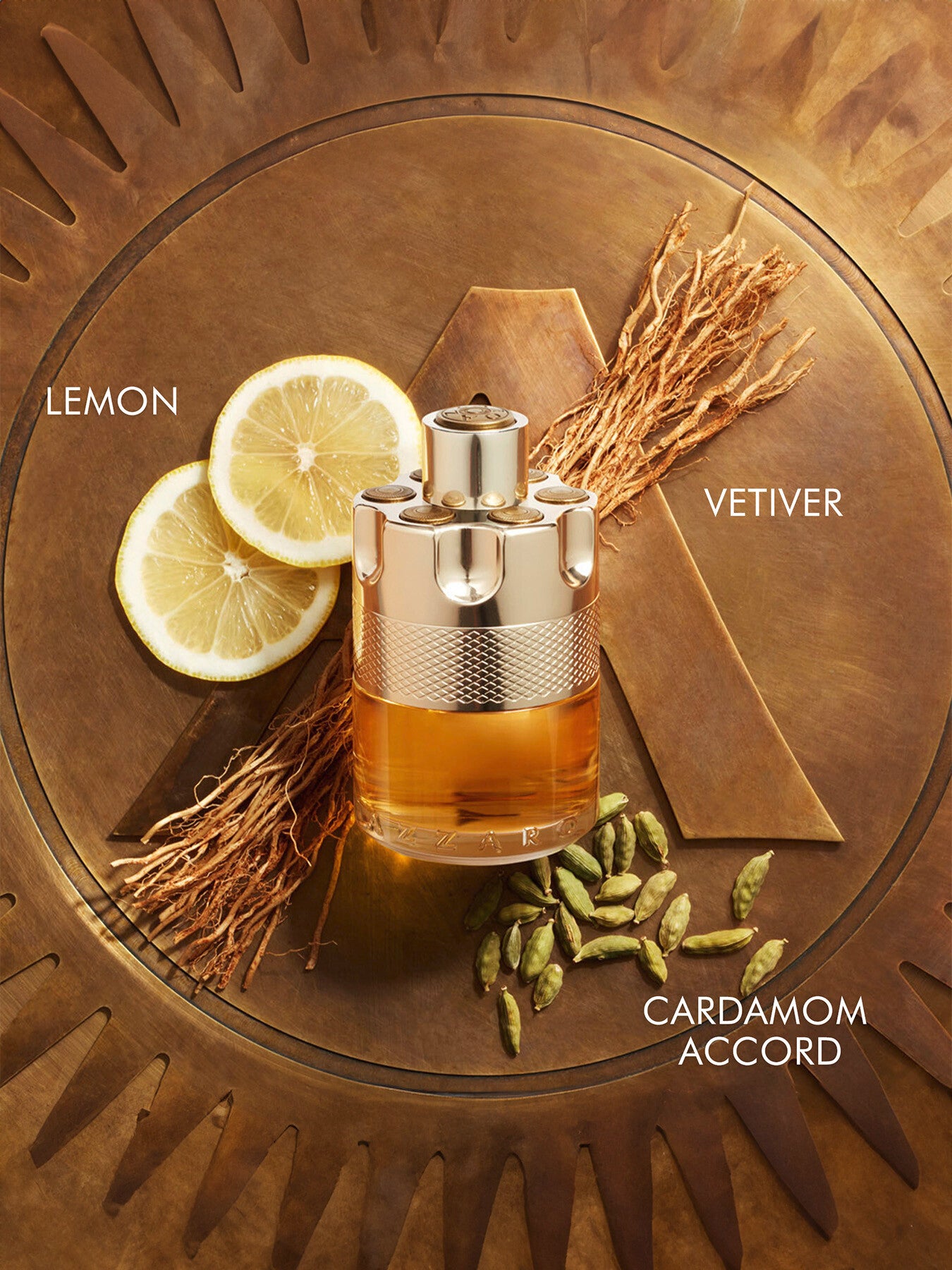 Azzaro Wanted Eau de Toilette 50ml