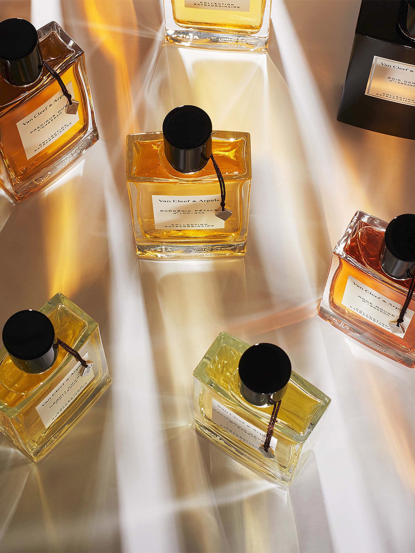 Orchidée Vanille Eau de Parfum 75 ml