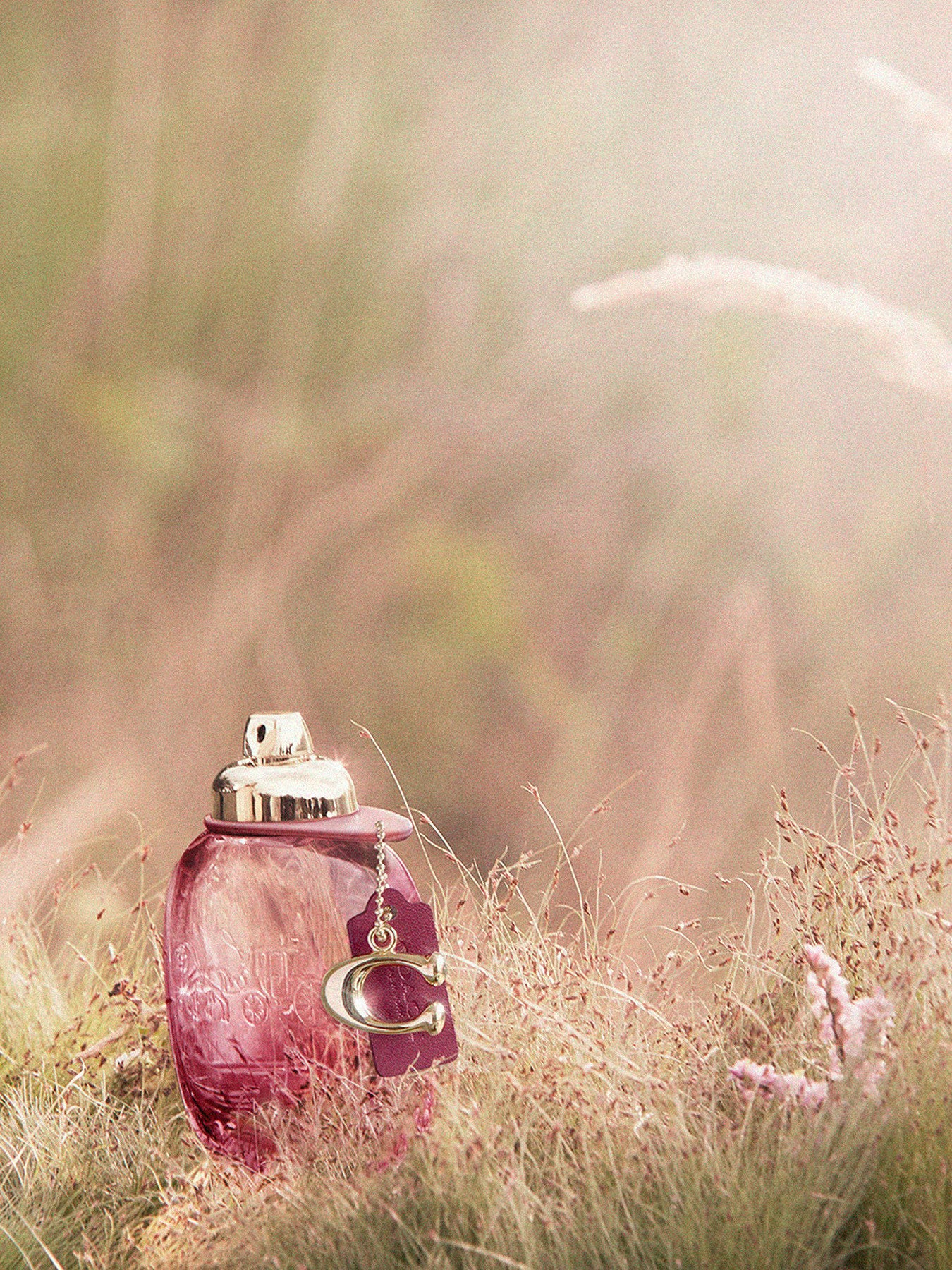 Wild Rose Eau de Parfum 50ml