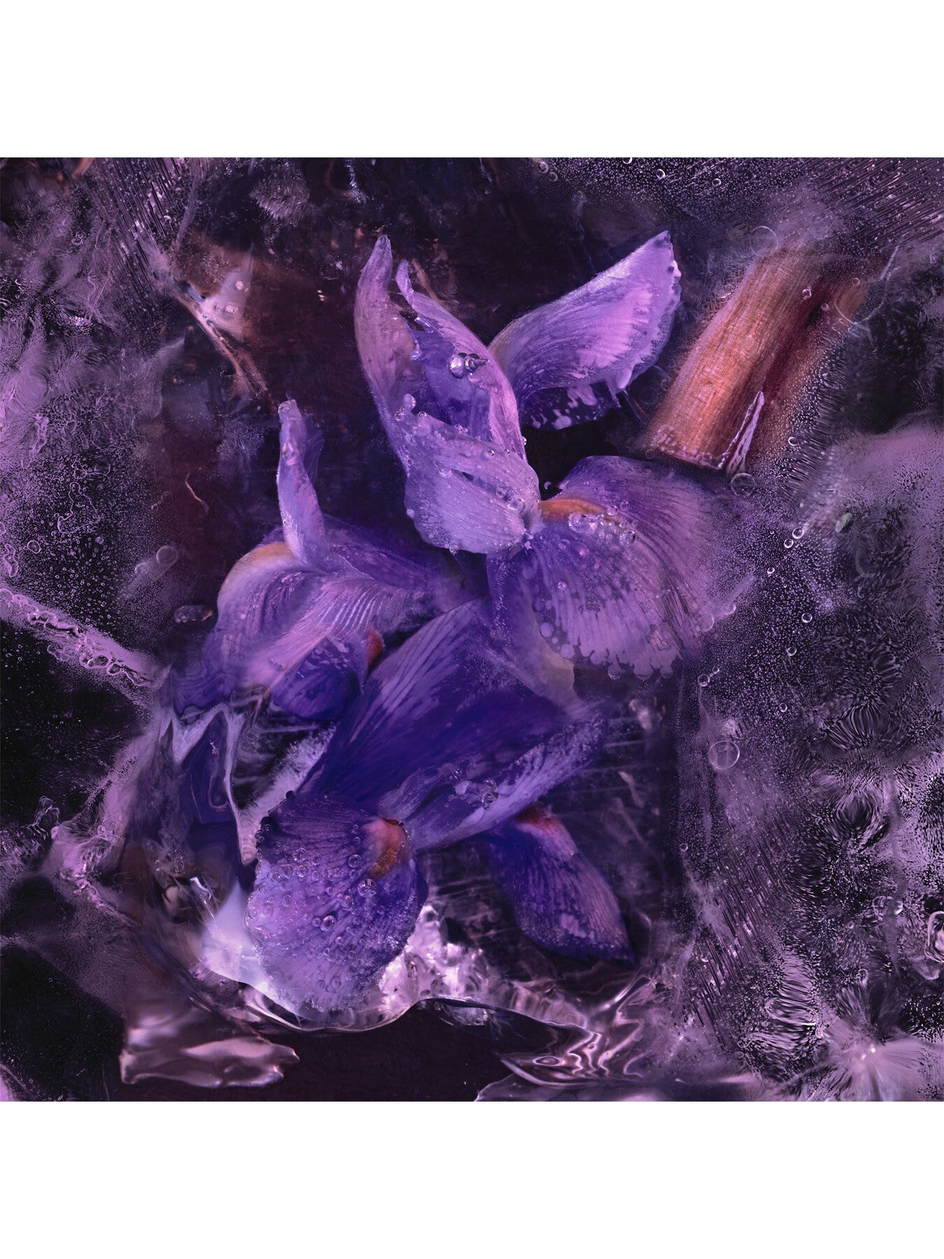 Les Sommets Le Solstice Eau de Parfum 200ml