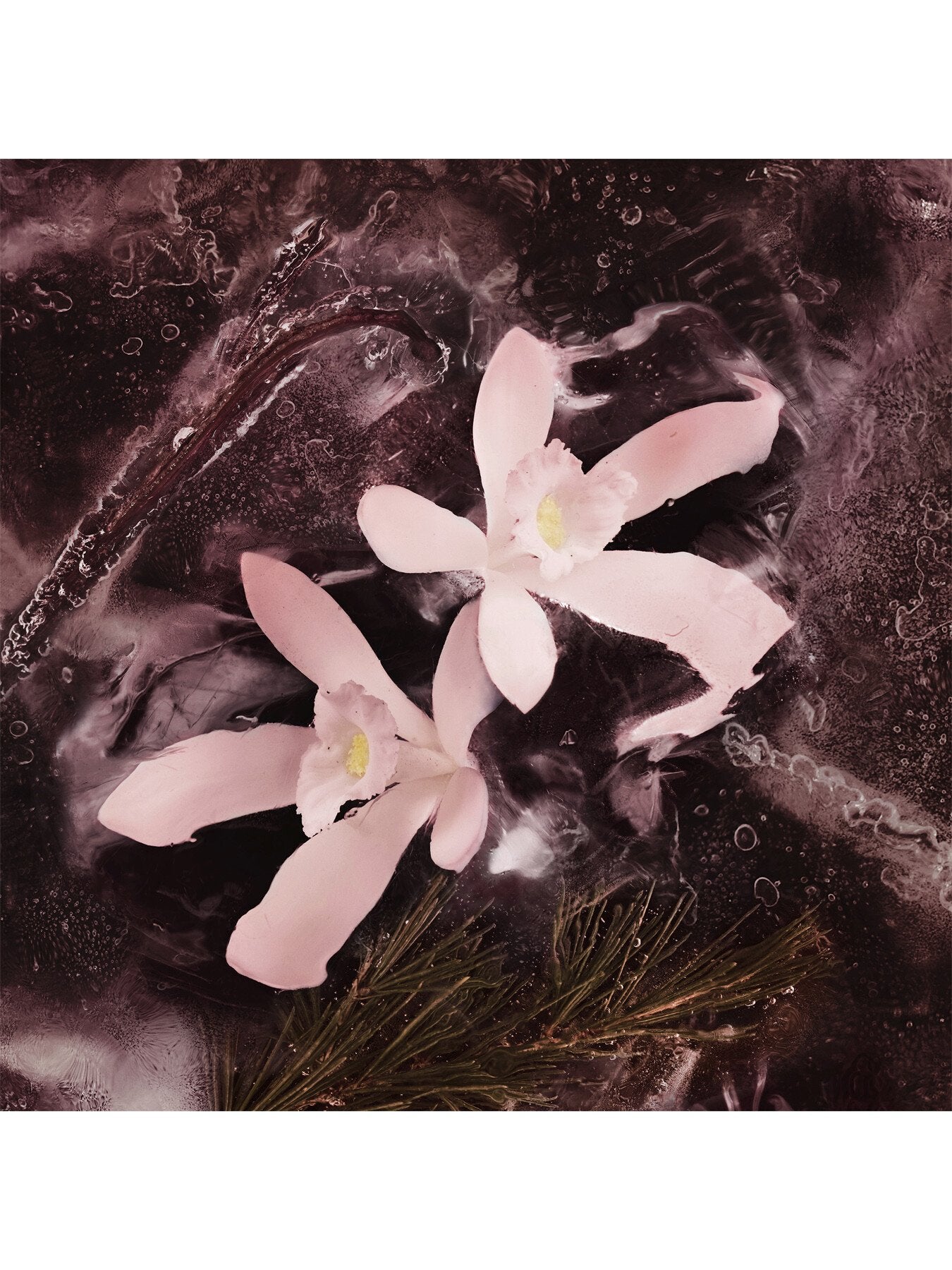 Les Sommets Haute Montagne Eau de Parfum 100ml