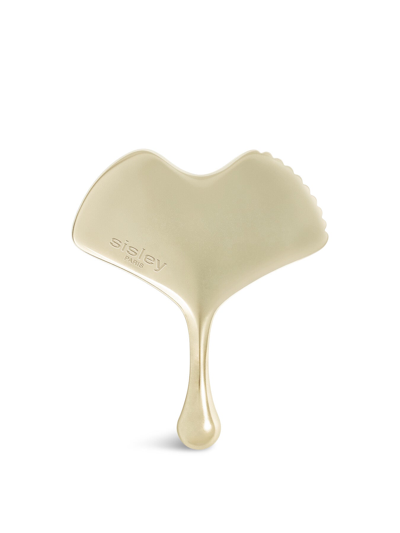 Ginkgo Gua Sha