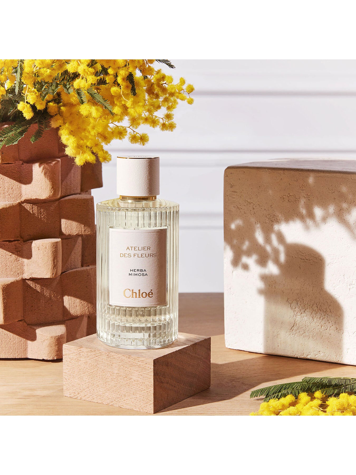 Atelier Des Fleurs Herba Mimosa Eau de Parfum 50ml