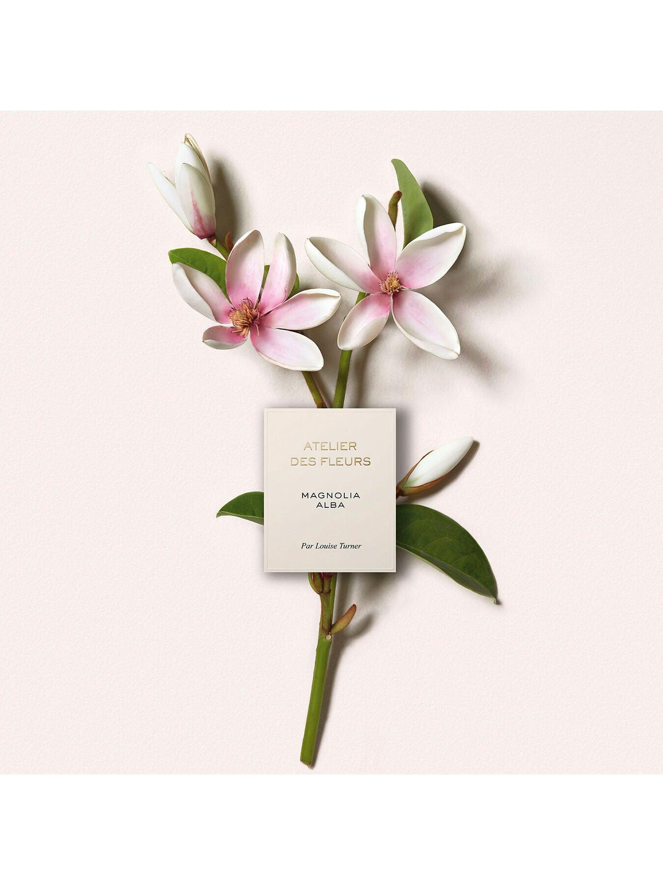Atelier Des Fleurs Magnolia Alba Eau de Parfum 50ml