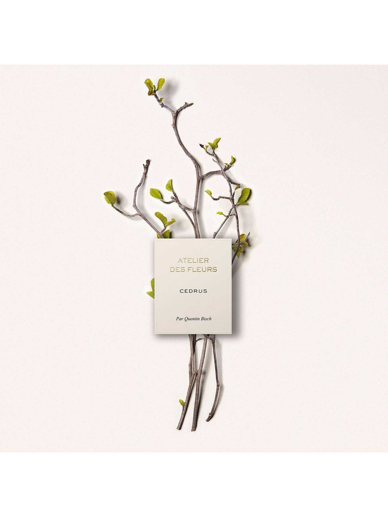 Atelier Des Fleurs Cedrus Eau de Parfum 50ml