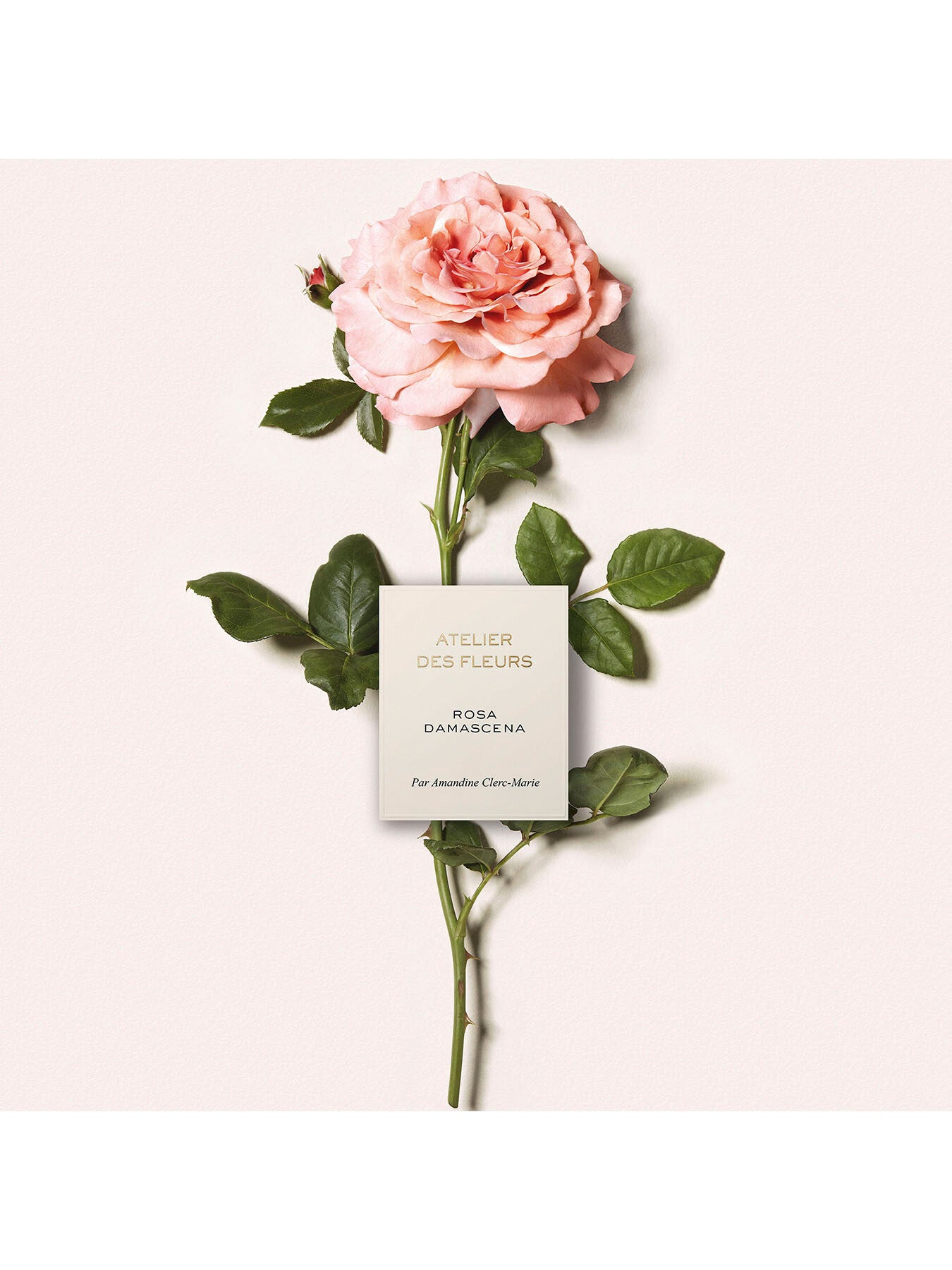 Atelier Des Fleurs Rosa Damascena Eau de Parfum 150ml