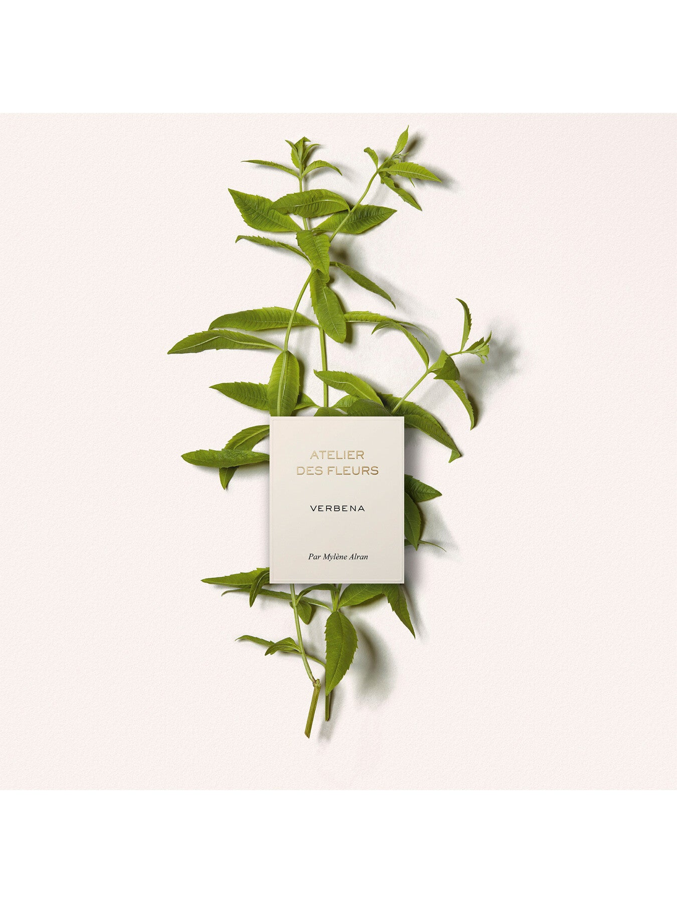 Atelier Des Fleurs Verbena Eau de Parfum 150ml