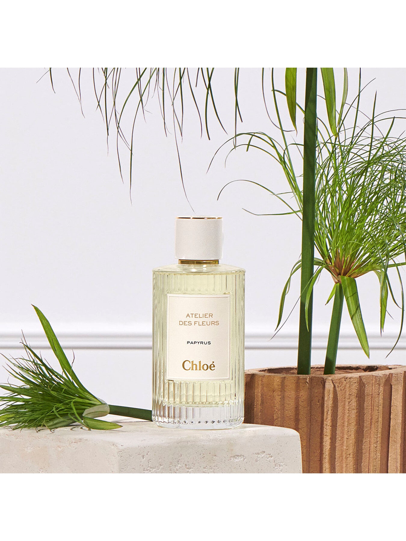 Atelier Des Fleurs Papyrus Eau de Parfum 50ml