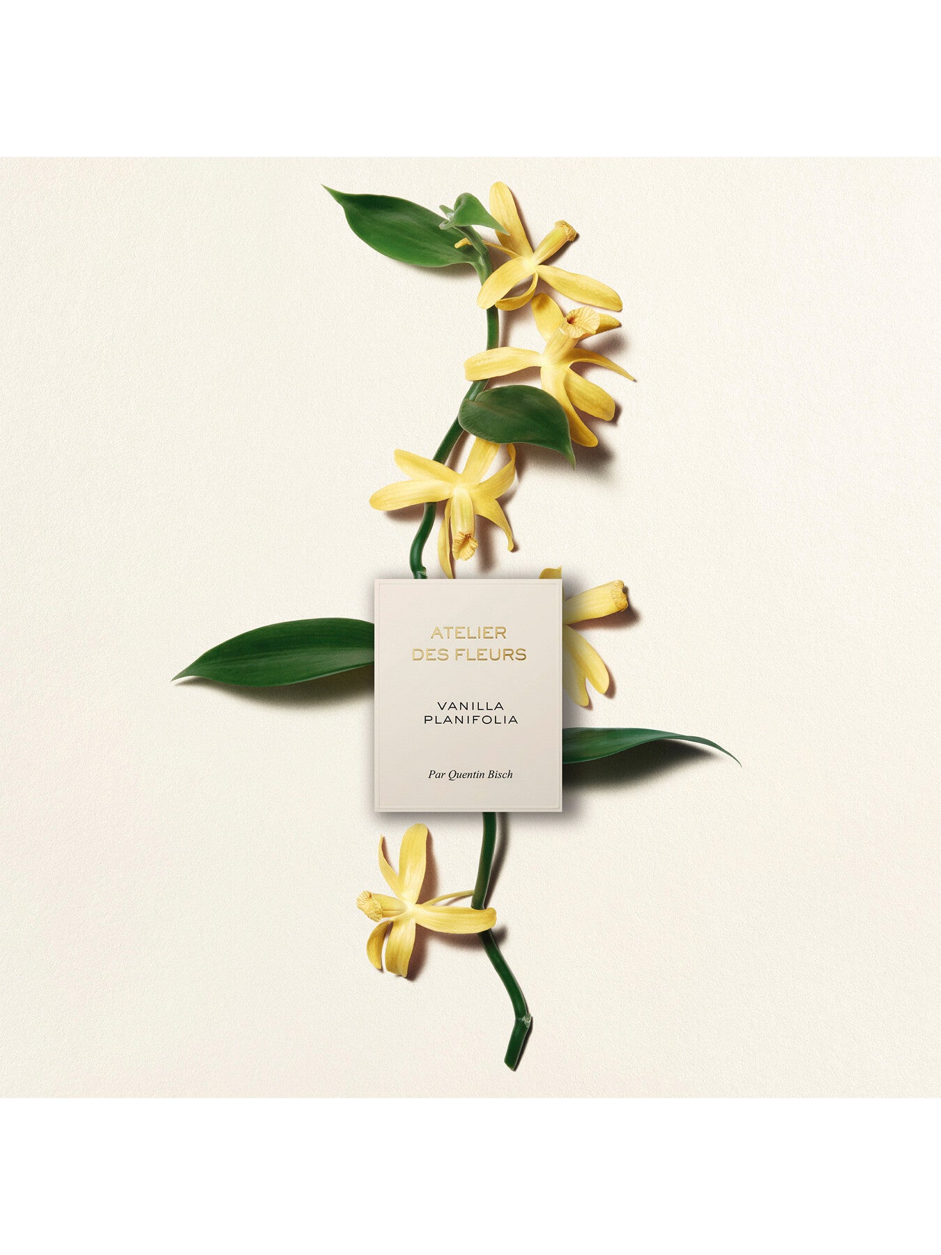 Atelier Des Fleurs Vanilla Planifolia Eau de Parfum 150ml