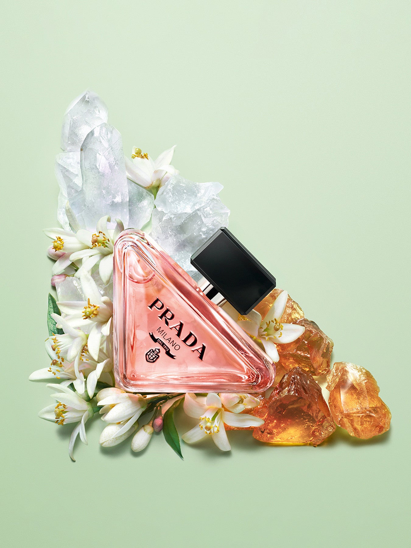 Paradoxe Eau de Parfum 30ml – Fenwick