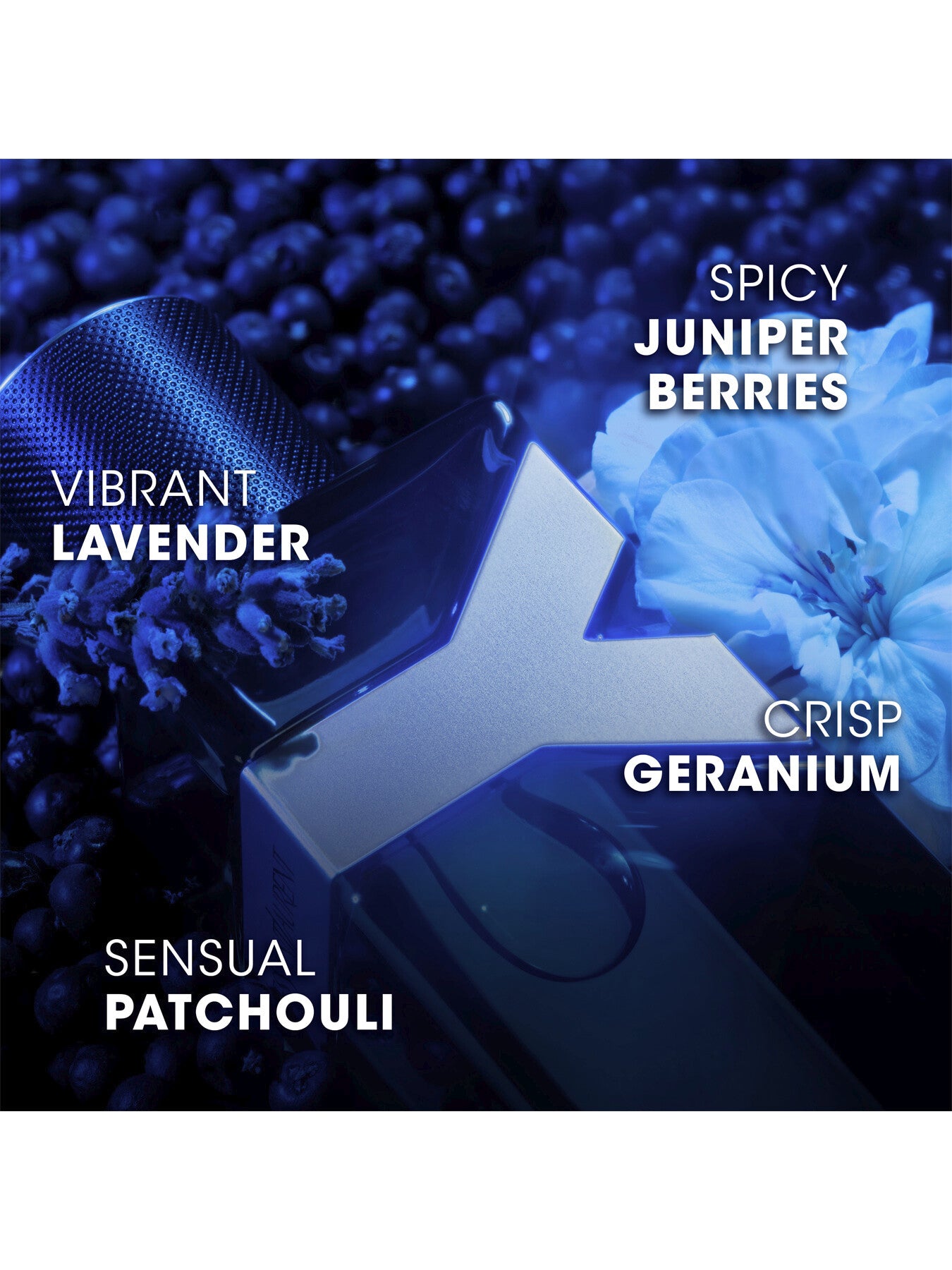 Y Eau de Parfum Intense 50ml