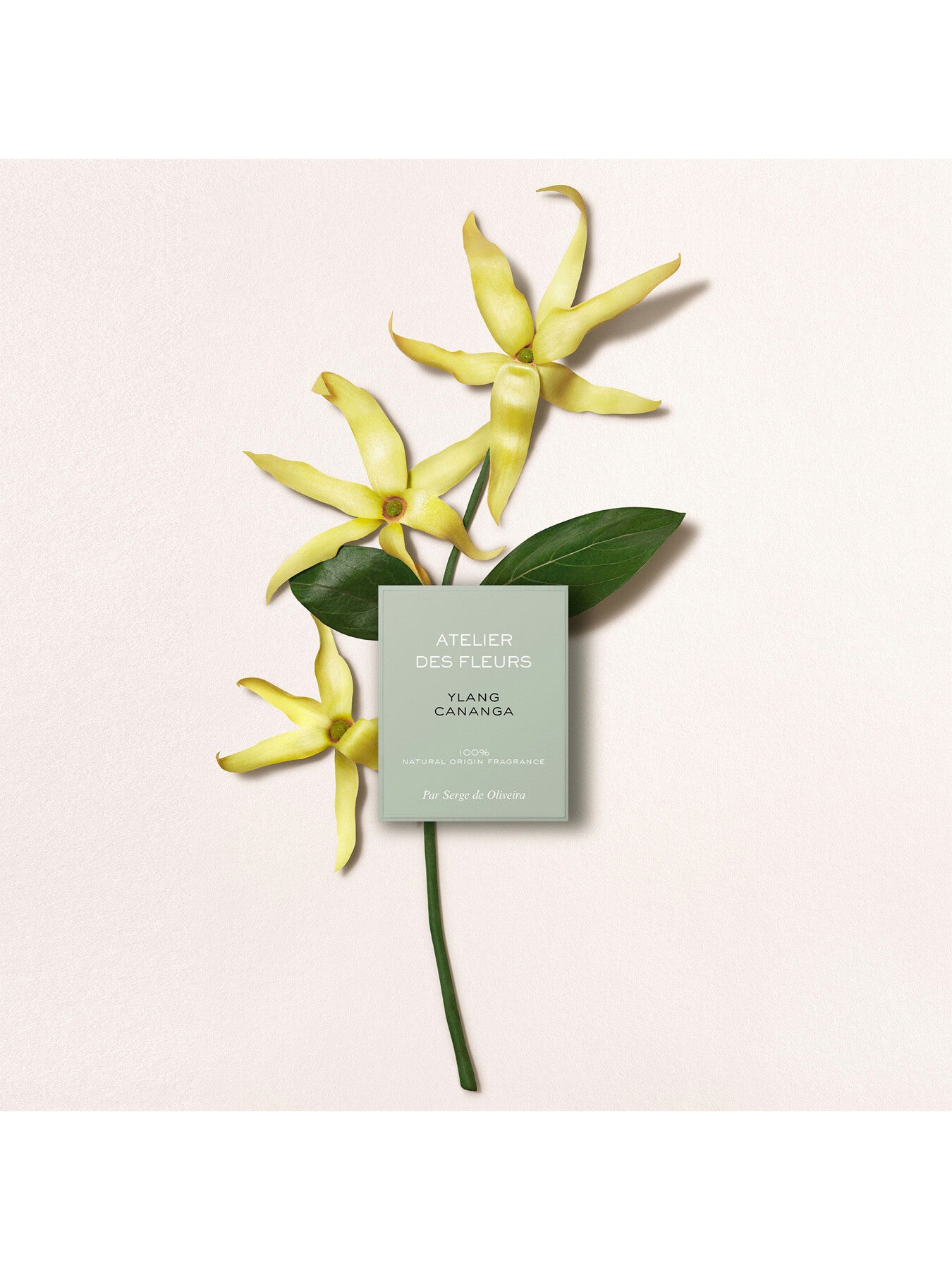 Atelier Des Fleurs Ylang Eau de Parfum 150ml