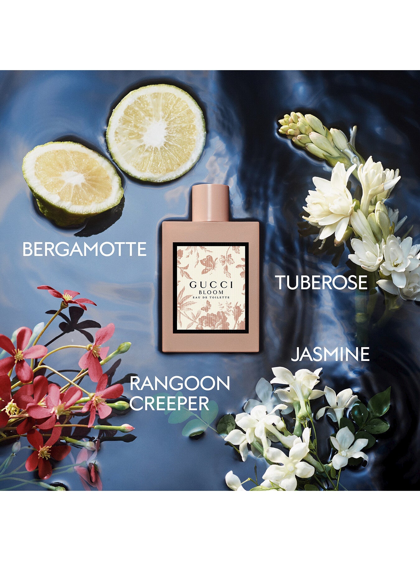 Bloom Eau de Toilette 50ml