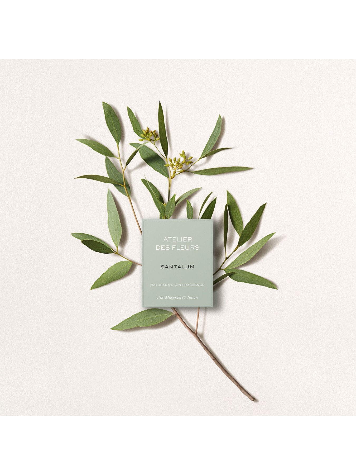 Atelier Des Fleurs Santalum Eau de Parfum 50ml
