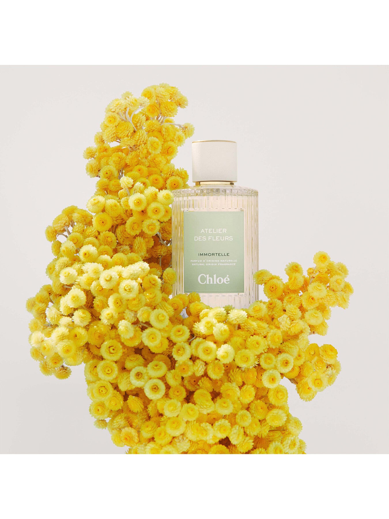 Atelier Des Fleurs Immortelle Eau de Parfum 150ml – Fenwick