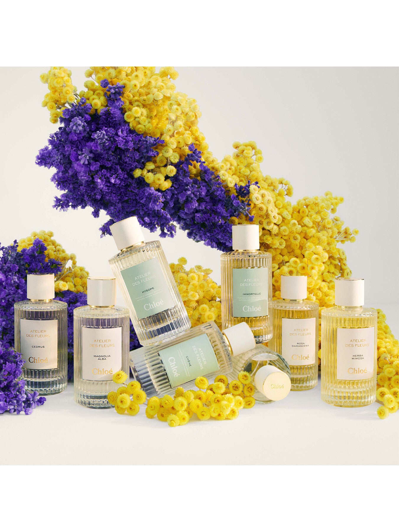 Atelier Des Fleurs Immortelle Eau de Parfum 150ml – Fenwick