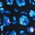 Blue/Multi