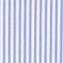 Blue/White