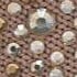 TAUPE COMBINATION