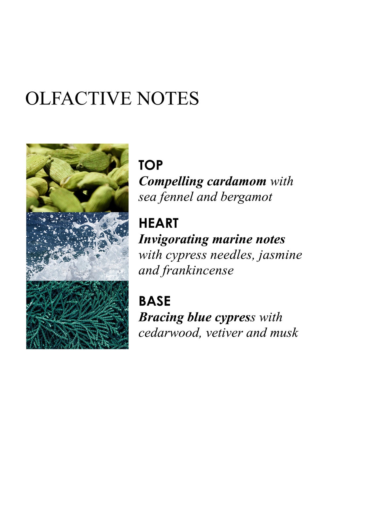 Coastal Cypress Sea Fennel Signature Scented Candle Single Wick 190g