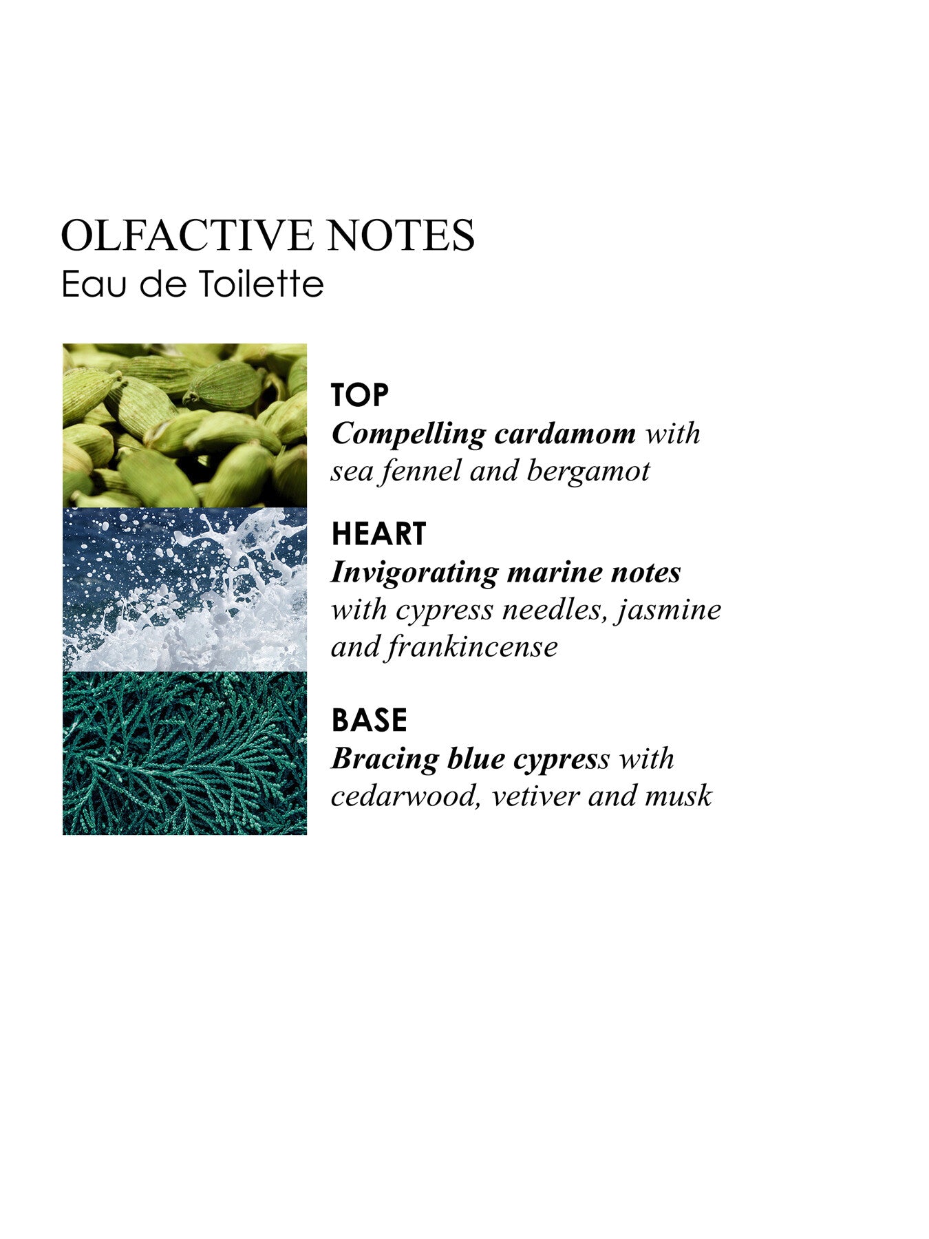 Coastal Cypress and Sea Fennel Hand Care Collection 2 x 100ml