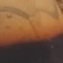 Tort