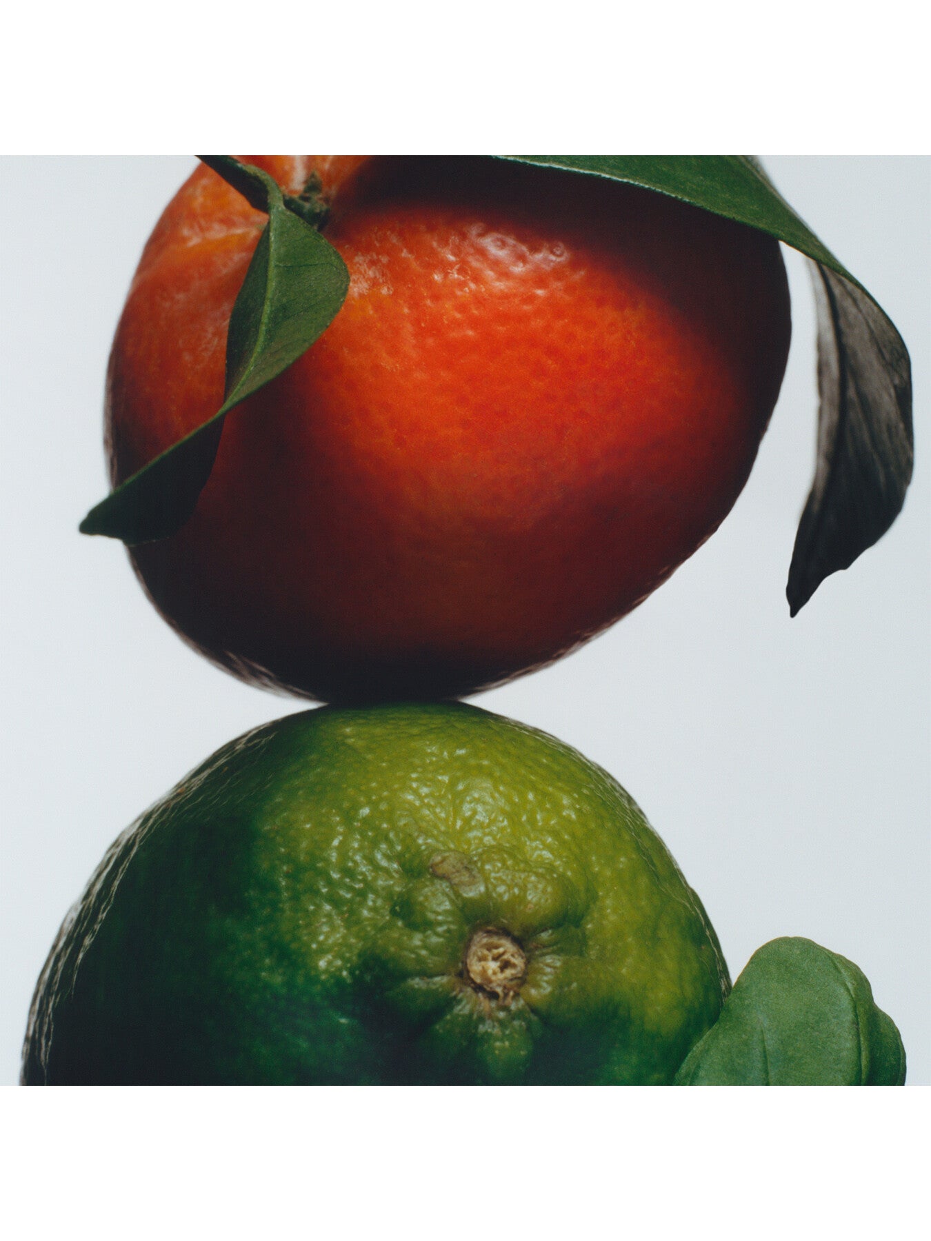 Lime Basil & Mandarin Cologne 30ml