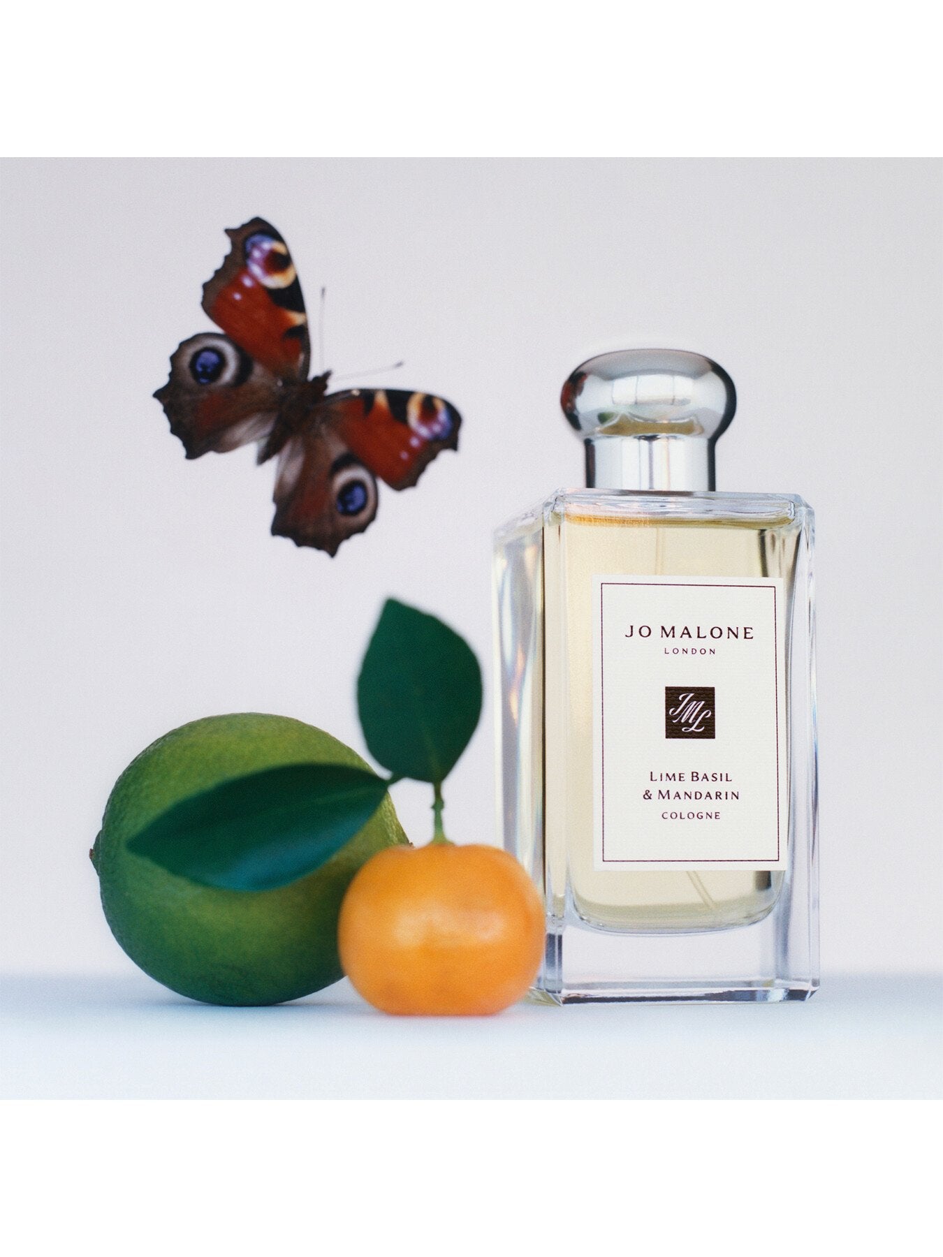 Lime Basil and Mandarin Cologne 100ml – Fenwick