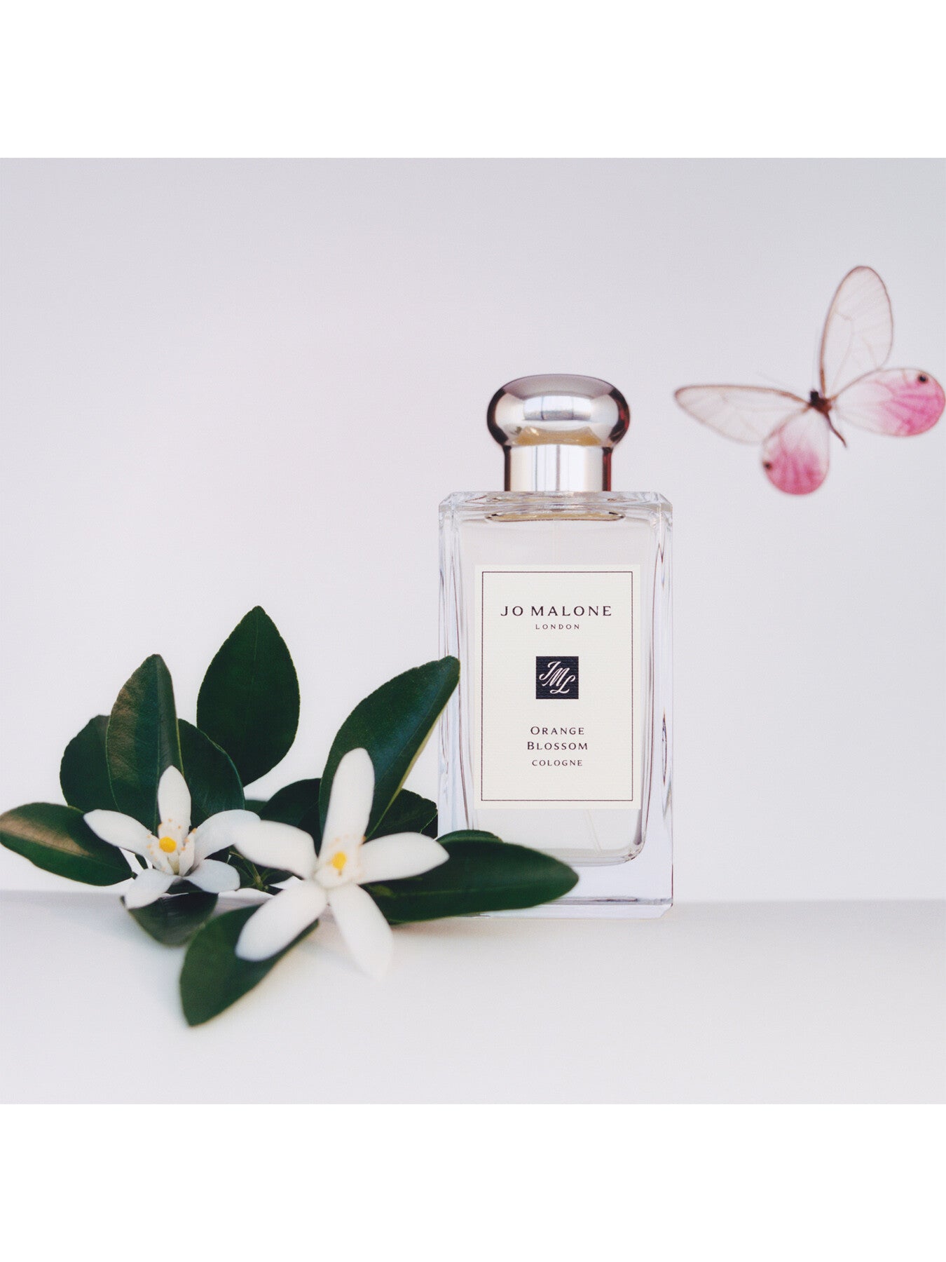 Orange Blossom Cologne 100ml – Fenwick