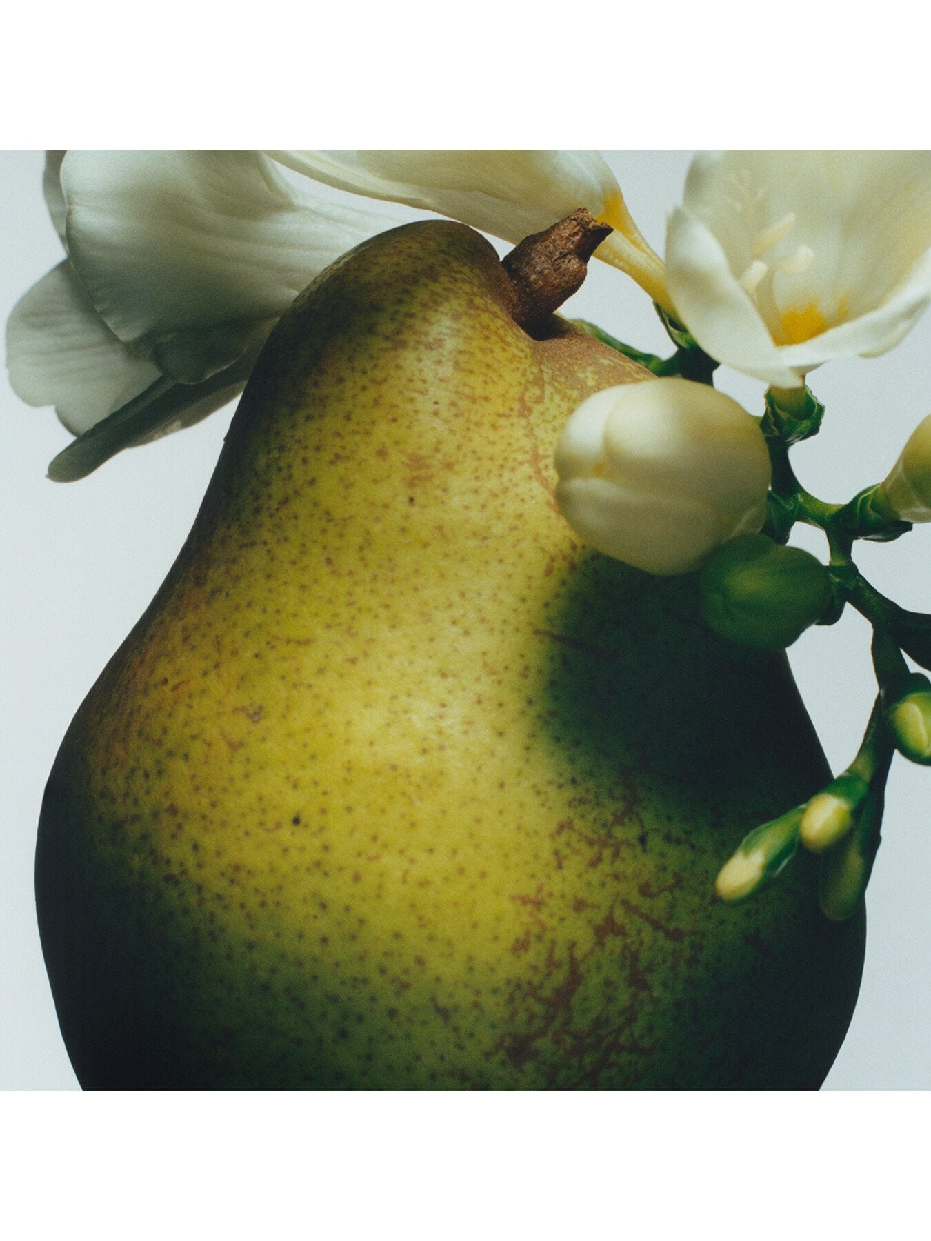 English Pear and Freesia Home Candle 200g