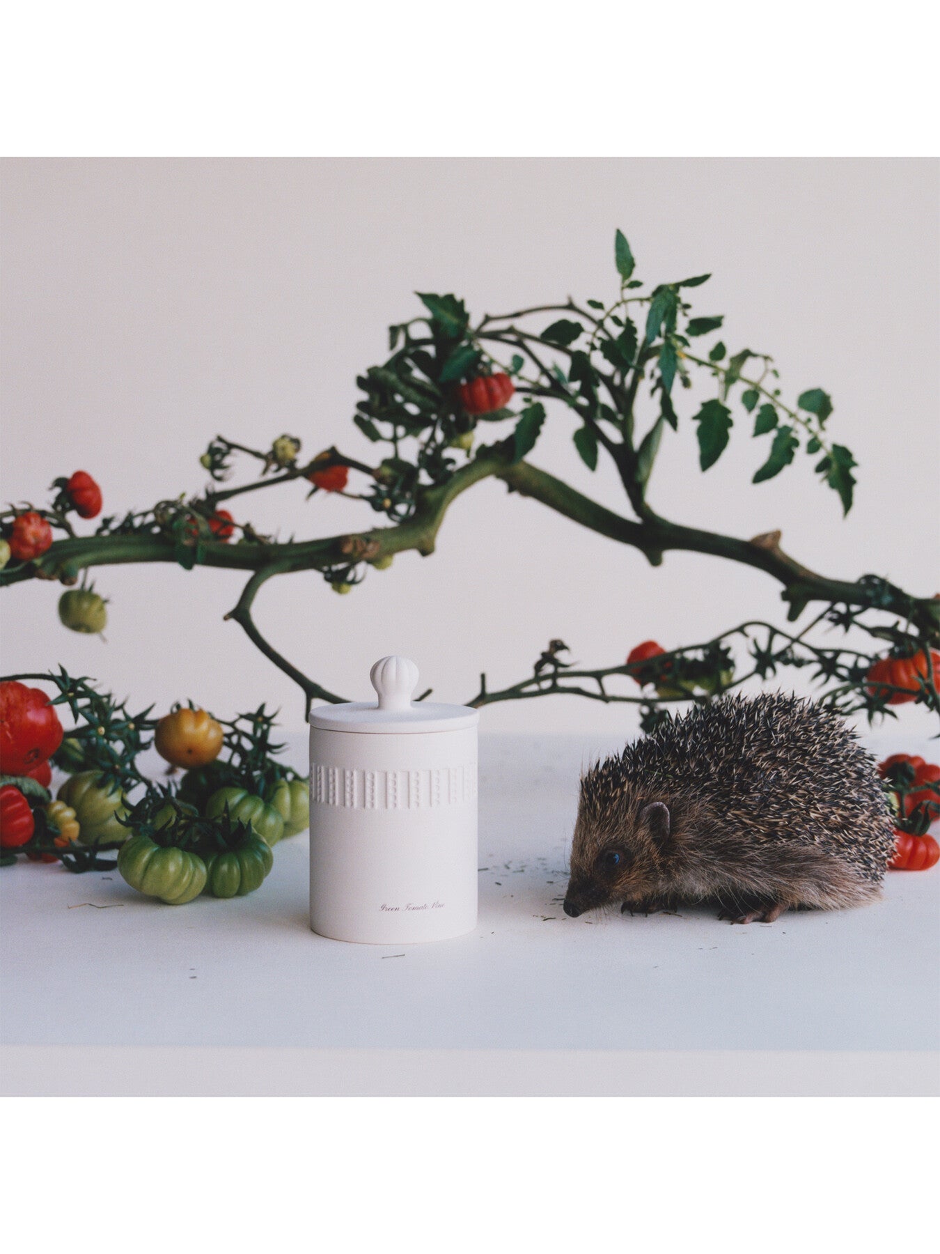 Green Tomato Vine Townhouse Candle